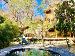 La Casa entre los Árboles en el Valle de Elqui Montegrande